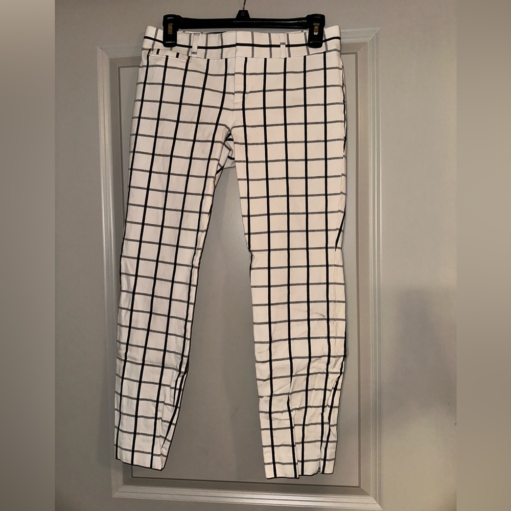 Dress pants